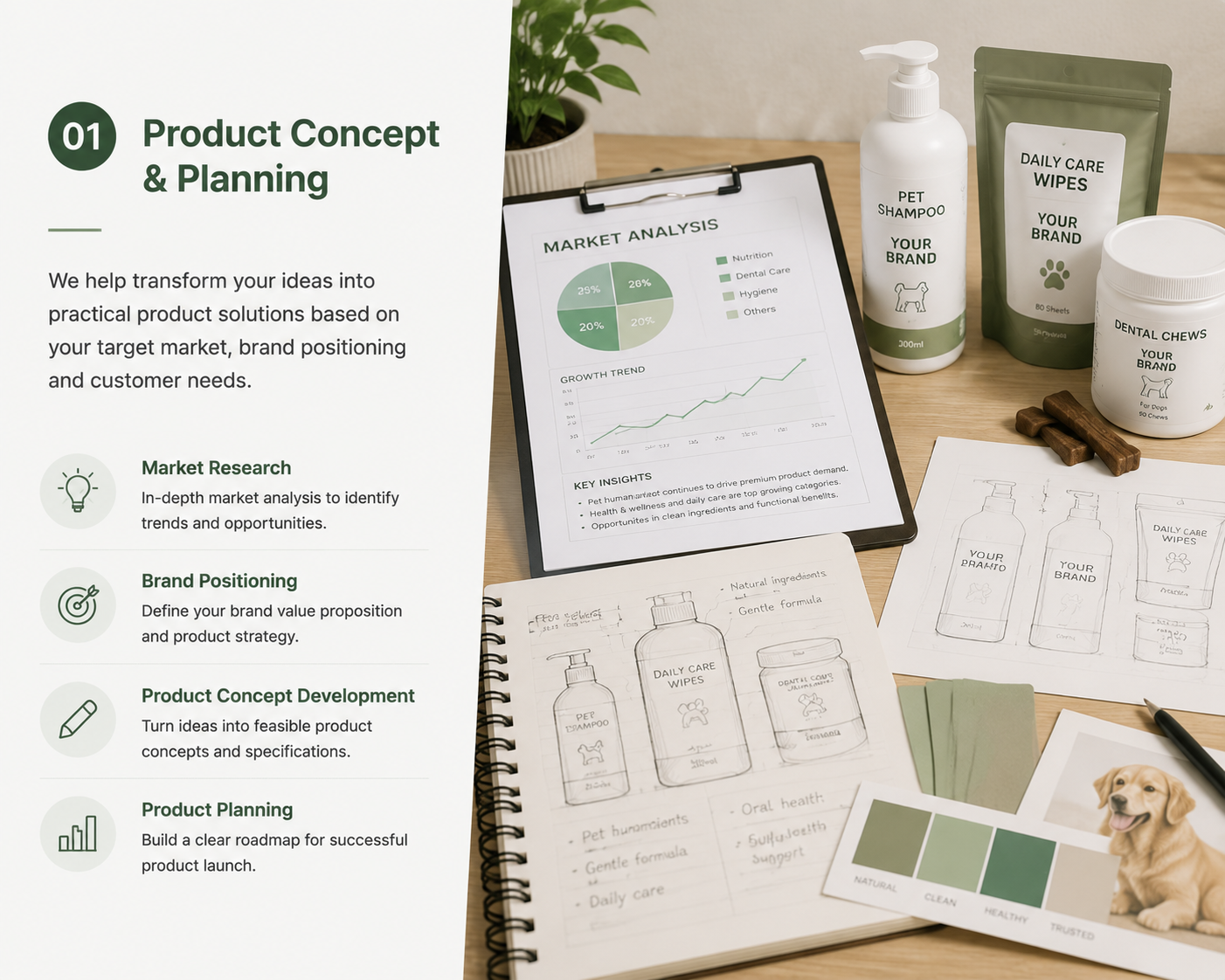 Product Concept & Planning