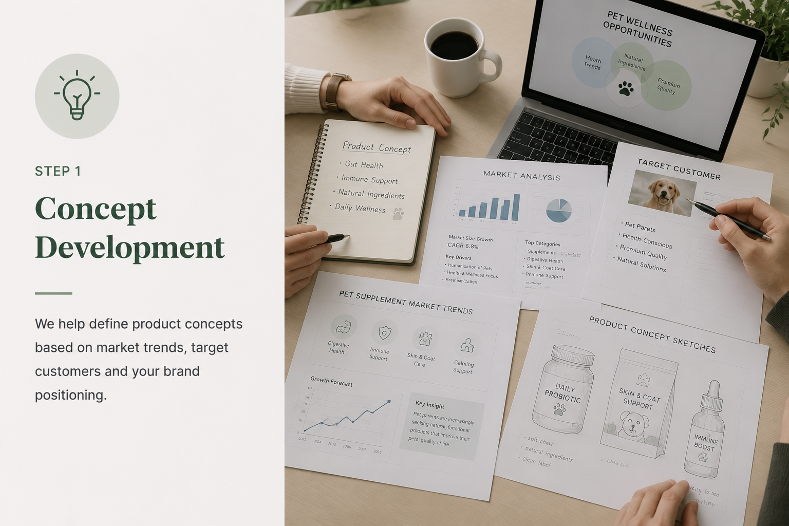 Concept development and product planning