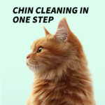 Chin Wipes - Image 4