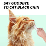Chin Wipes - Image 3
