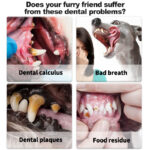 Pet Teeth Cleaning Pen - Image 2